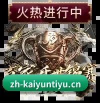开云体育 应用界面